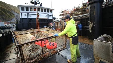 deadliest catch torrent|Deadliest.Catch.S17E01.Out.of.the.Ashes.WEB.h264.
